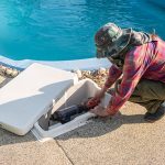 Pool Filter Repair in Naples, Florida