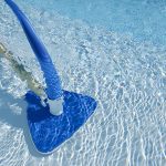 Monthly Pool Maintenance in Naples, Florida