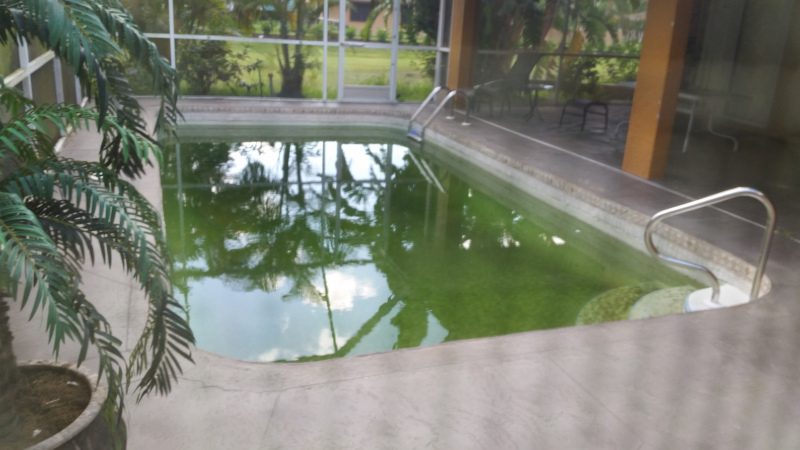 Pool Maintenance in Naples, Florida