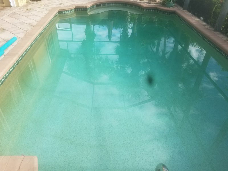 Pool Stain Removal in Naples, Florida